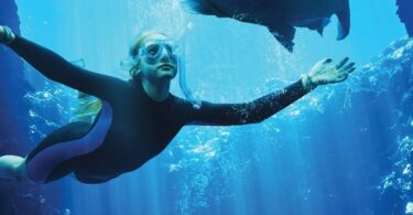 Download Movie Blueback (Hollywood Movie) Mp4