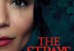 Download Movie The Strays (Hollywood Movie) Mp4