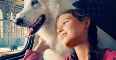 Download Movie About the Dog Who Rode the Train (2023) [Polish] Mp4